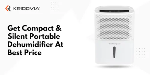 Buy The Best Portable Dehumidifier In India At Affordable price - blog poster