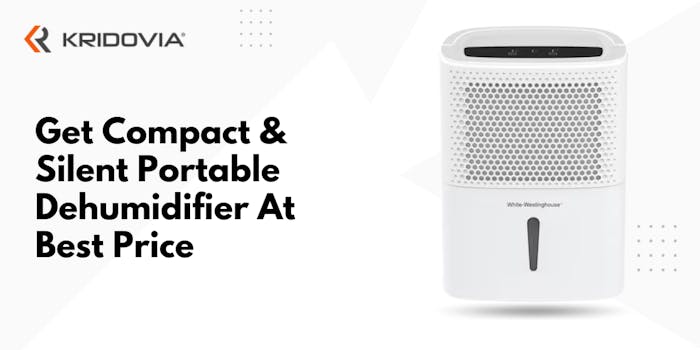 Buy The Best Portable Dehumidifier In India At Affordable price - blog poster
