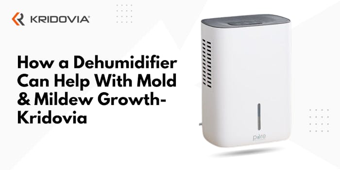 How a Dehumidifier Can Help With Mold & Mildew Growth- Kridovia - blog poster