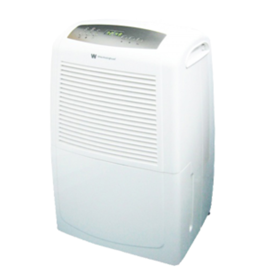 How a Dehumidifier Can Help With Mold & Mildew Growth Kridovia