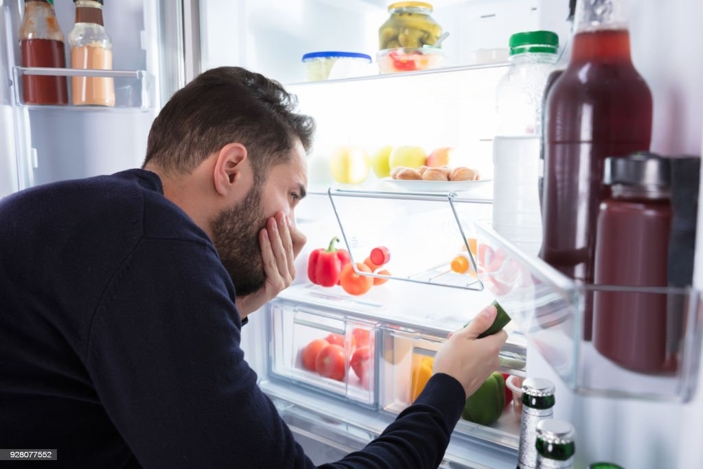 Need of refrigeration