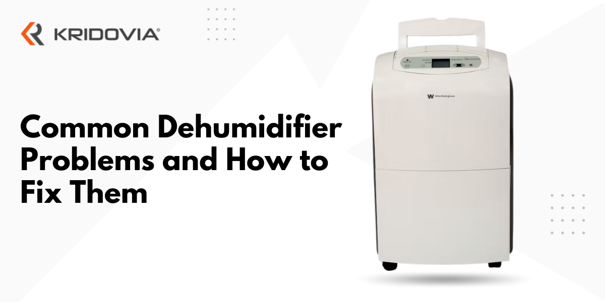 Common Dehumidifier Problems And How To Fix Them