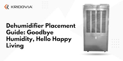 portable dehumidifier placement guide basement bedroom