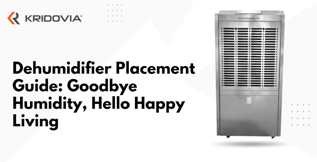 Dehumidifier Placement Guide: Goodbye Humidity, Hello Happy Living