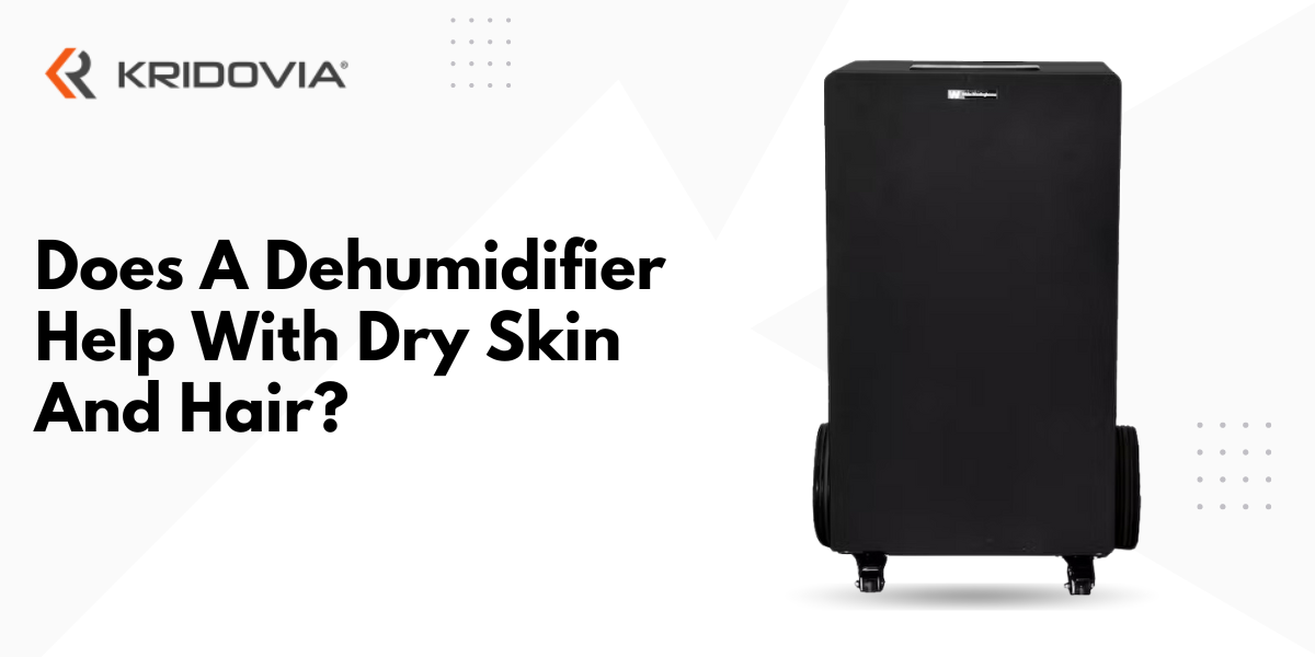 Does A Dehumidifier Help With Dry Skin And Hair?