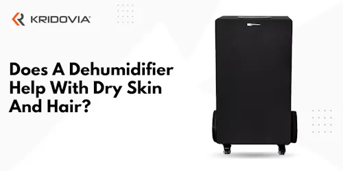 Does A Dehumidifier Help With Dry Skin And Hair : Blog Poster
