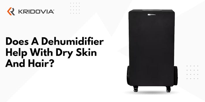  Does A Dehumidifier Help With Dry Skin And Hair : Blog Poster