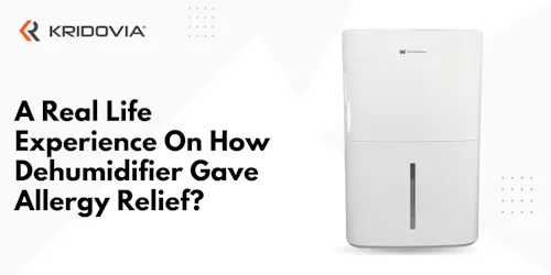 A Real Life Experience On How Dehumidifier Gave Allergy Relief? - Blog Poster