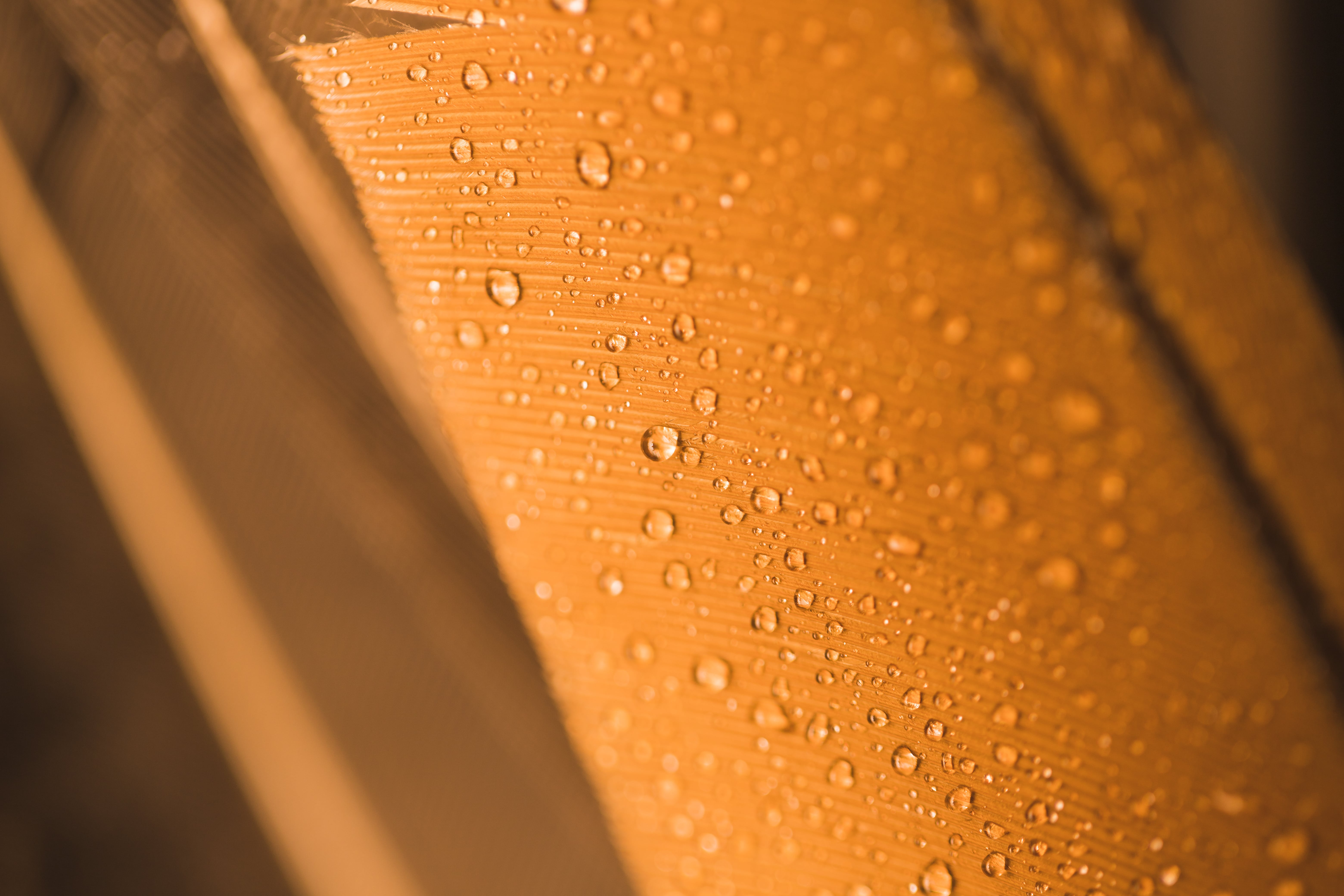 Dehumidification In The Textile Industry