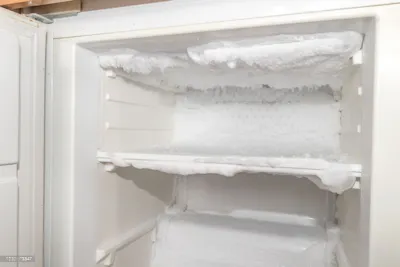 Used top freezer refrigerator