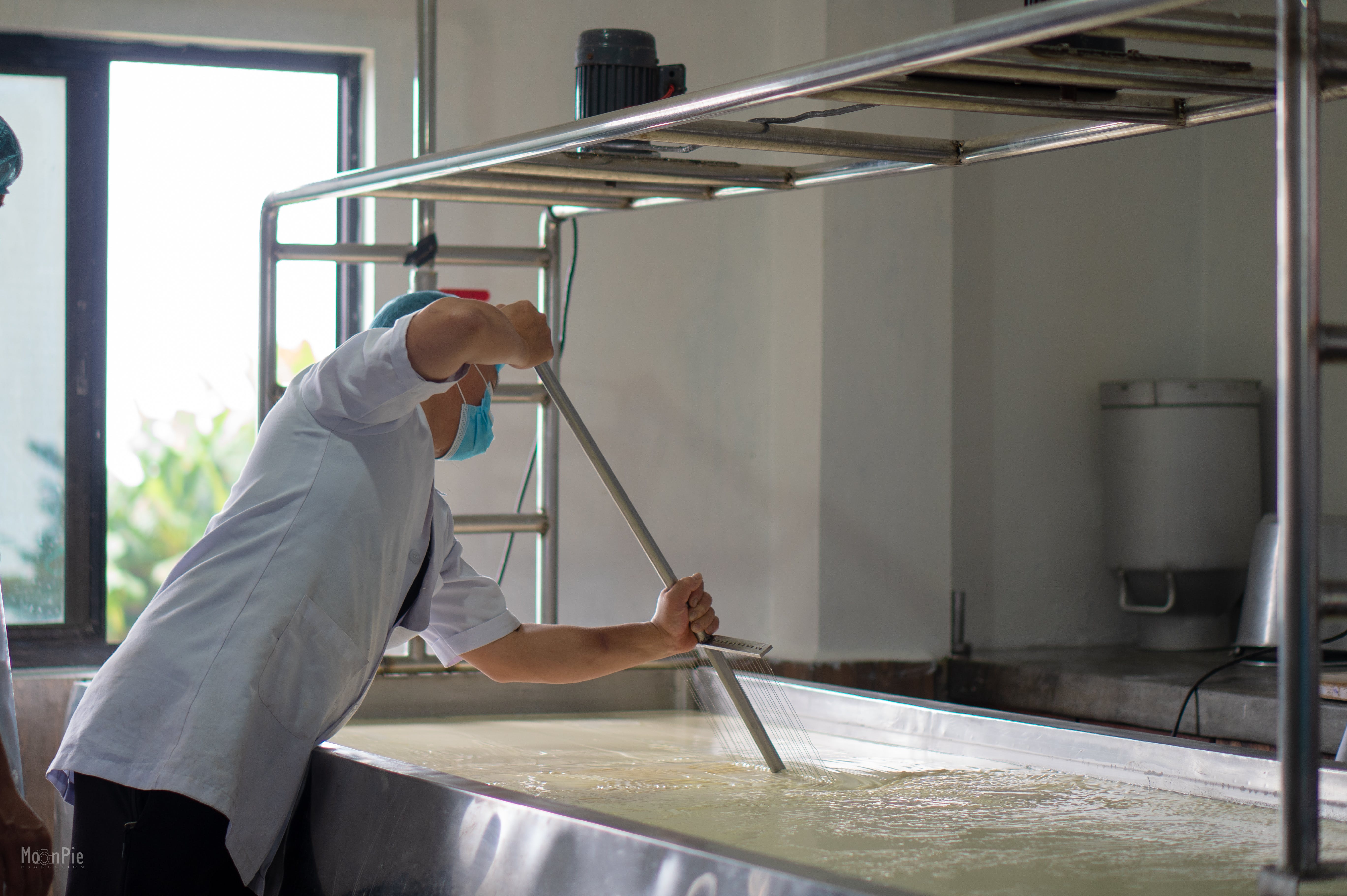 A worker processing milk in dairy industry pic