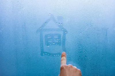 top reasons to use a home dehumidifier