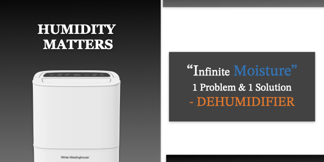 How a Dehumidifier Can Help With Mold & Mildew Growth Kridovia