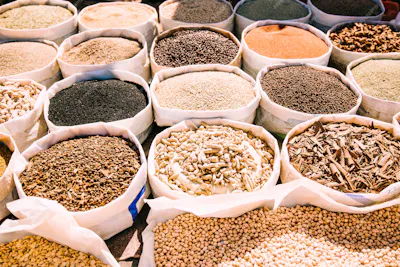 Pic of different seeds and spices