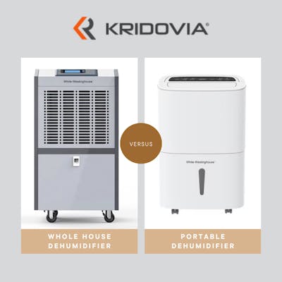 Whole house vs. portable dehumidifiers pic
