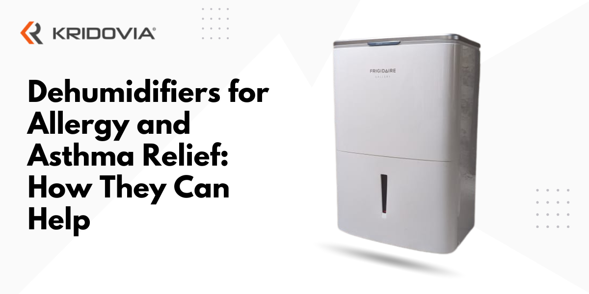 Dehumidifiers for Allergy and Asthma Relief How They Can Help