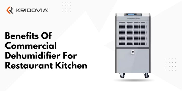 Benefits Of Commercial Dehumidifier For Restaurant Kitchen - blog poster