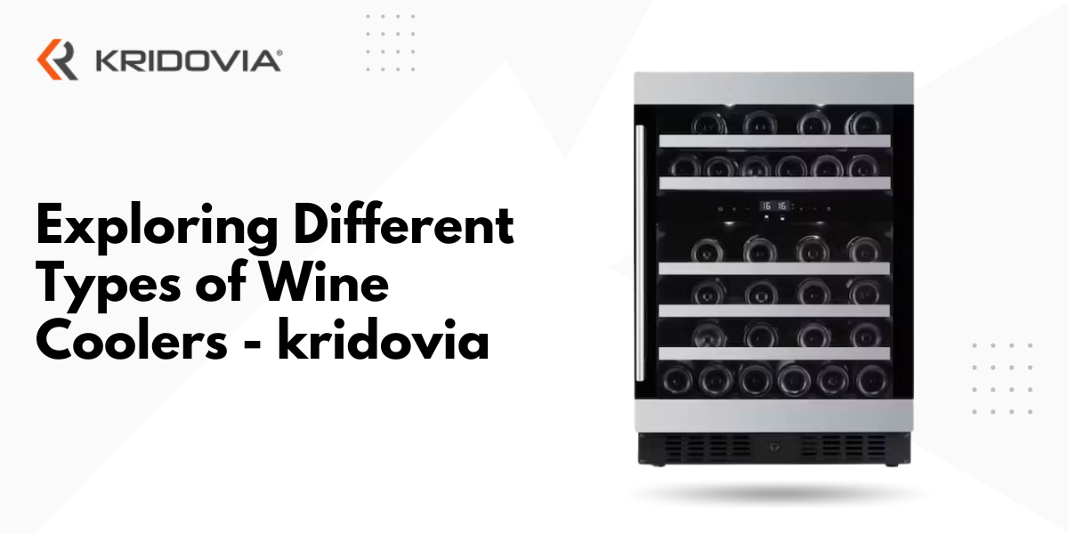 Exploring Different Types of Wine Coolers kridovia
