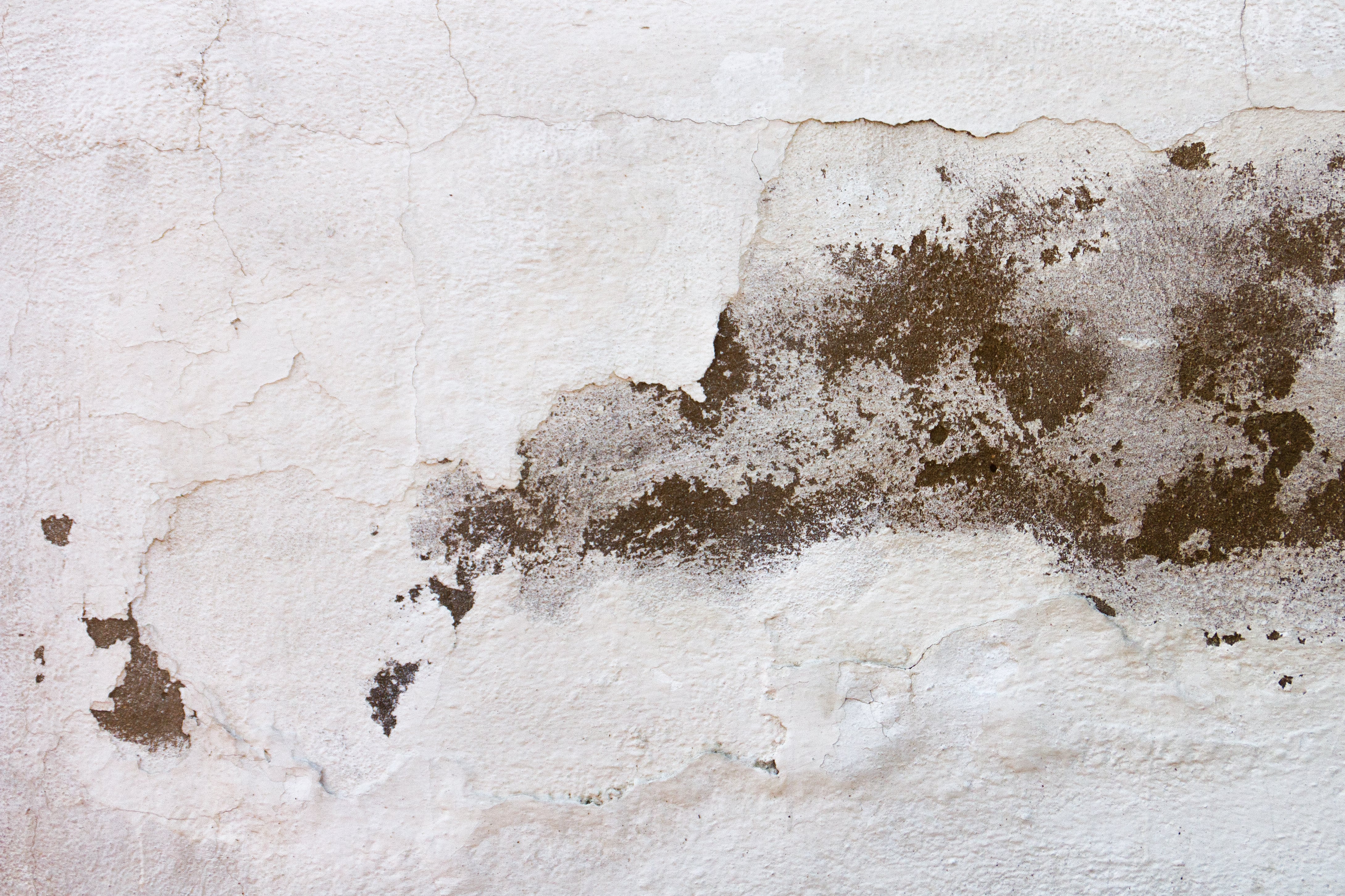 top reasons to use a home dehumidifier