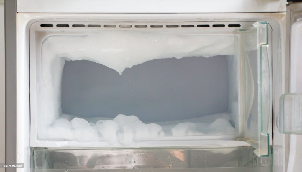 Fridge and freezer