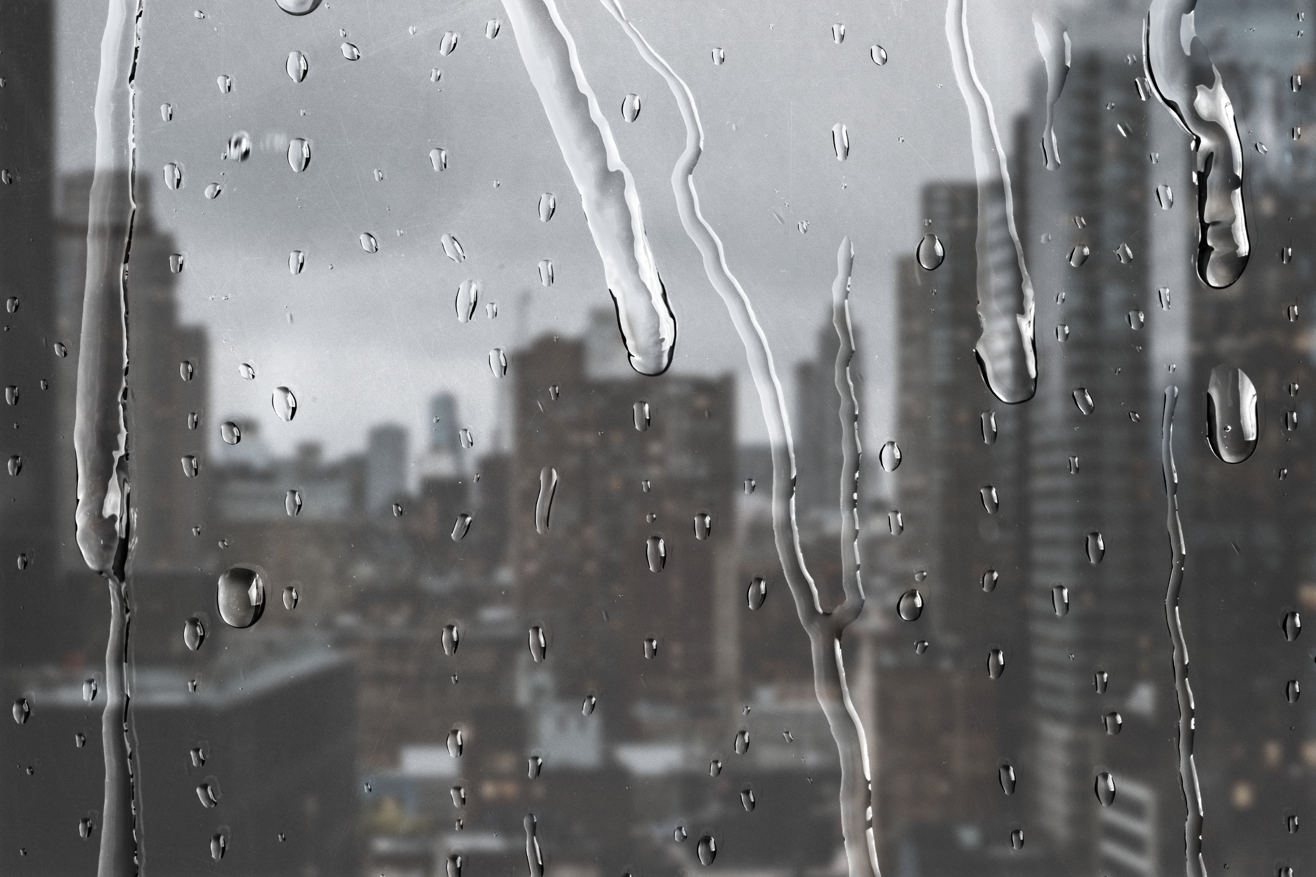 Real life story on how Dehumidifiers provided allergy relief