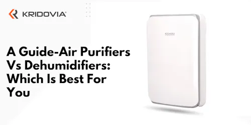 A Guide- Air Purifiers Vs Dehumidifiers: Which Is Best For You - blog poster
