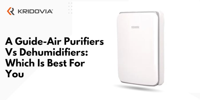 A Guide- Air Purifiers Vs Dehumidifiers: Which Is Best For You - blog poster