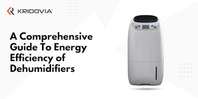 A Comprehensive Guide To Energy Efficiency of Dehumidifiers