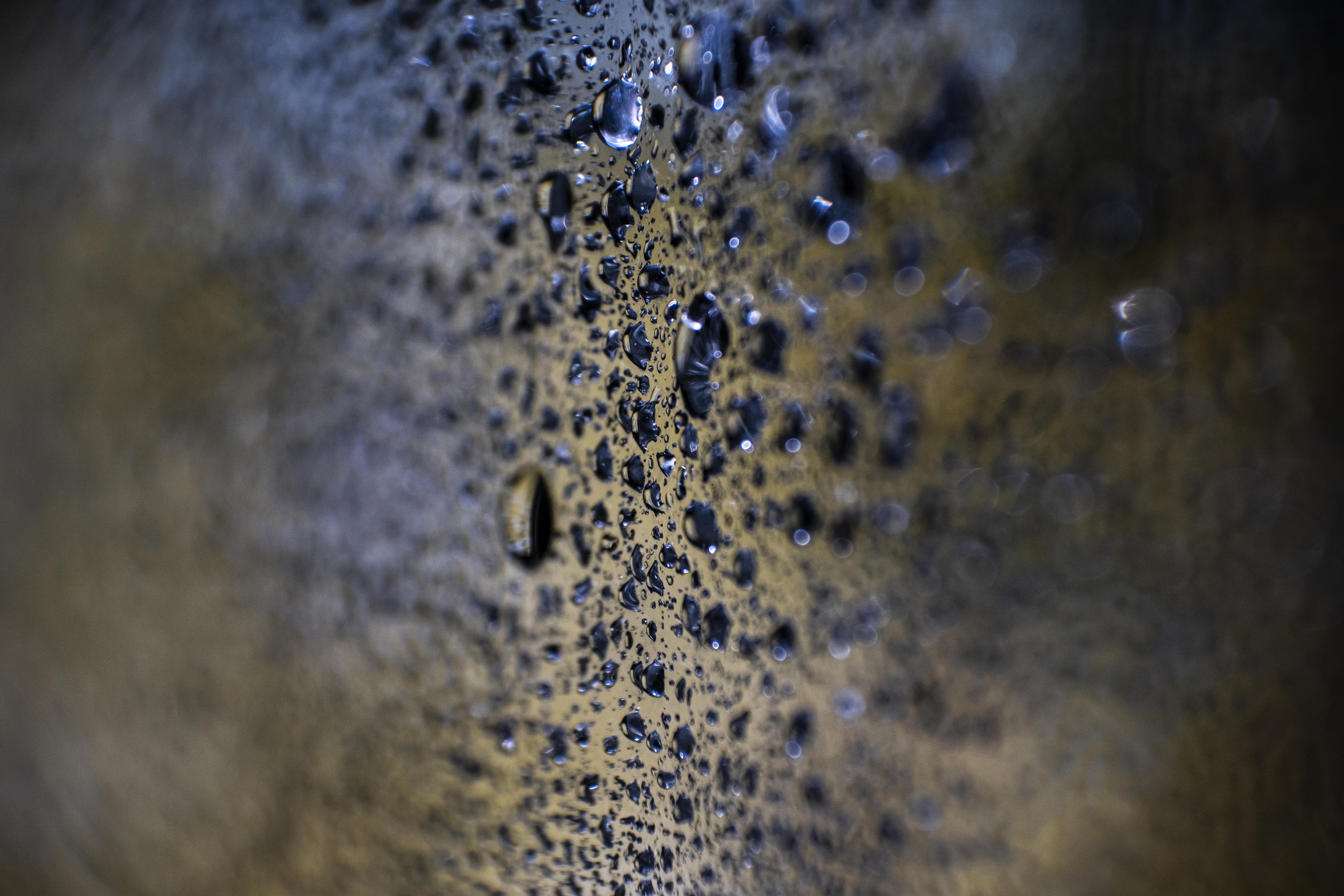 best dehumidifiers for basement