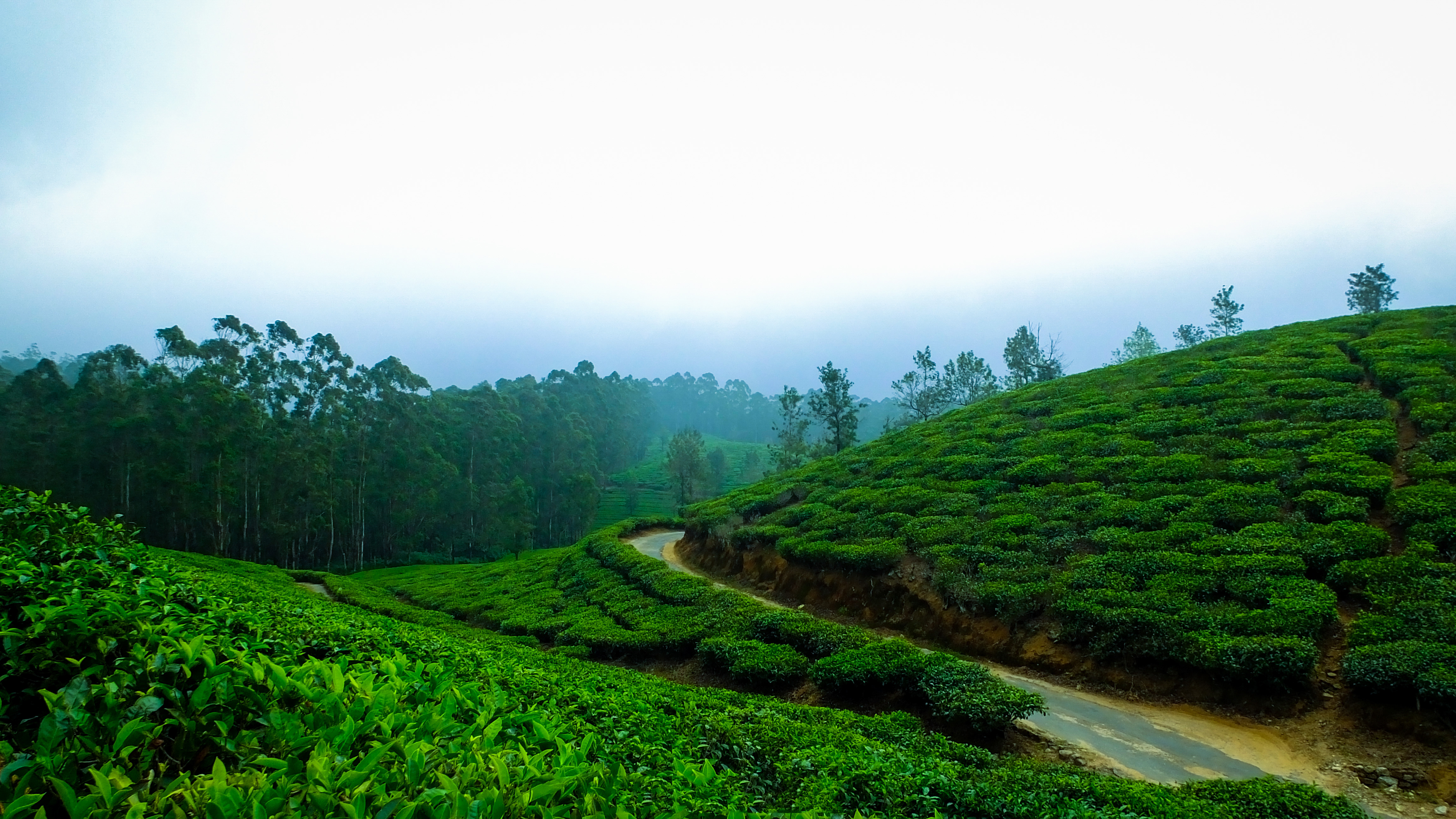 dehumidifier for hilly areas