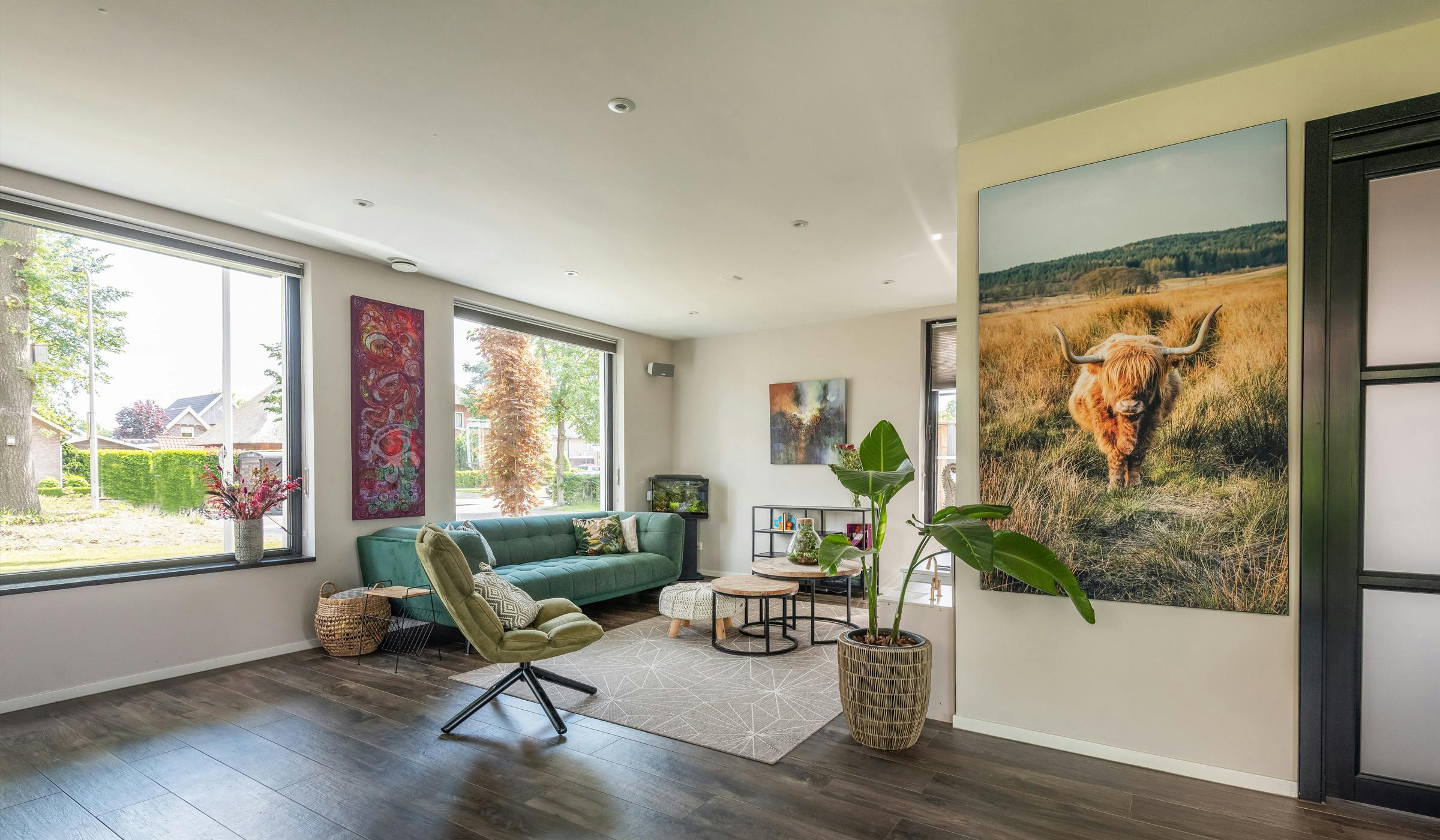Natural light in living room