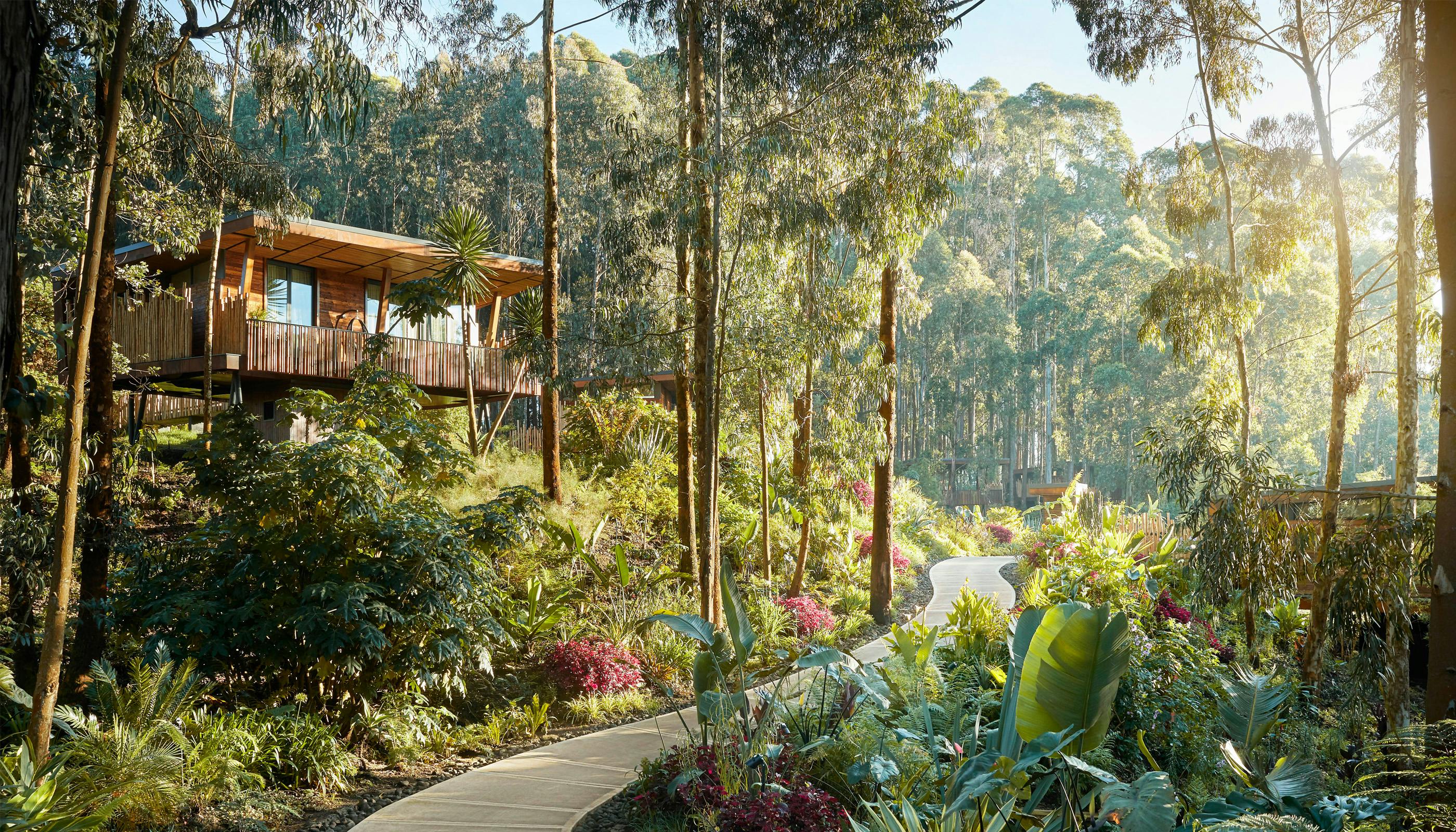 One&Only Gorilla's Nest View