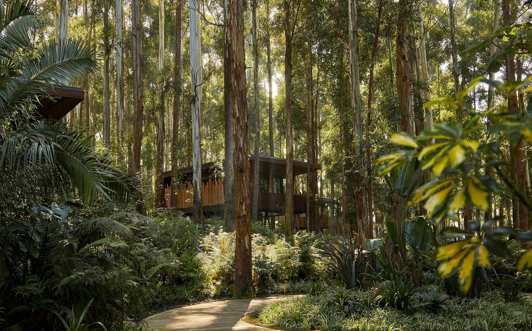 One&Only Gorilla's Nest - Hidden in Nature