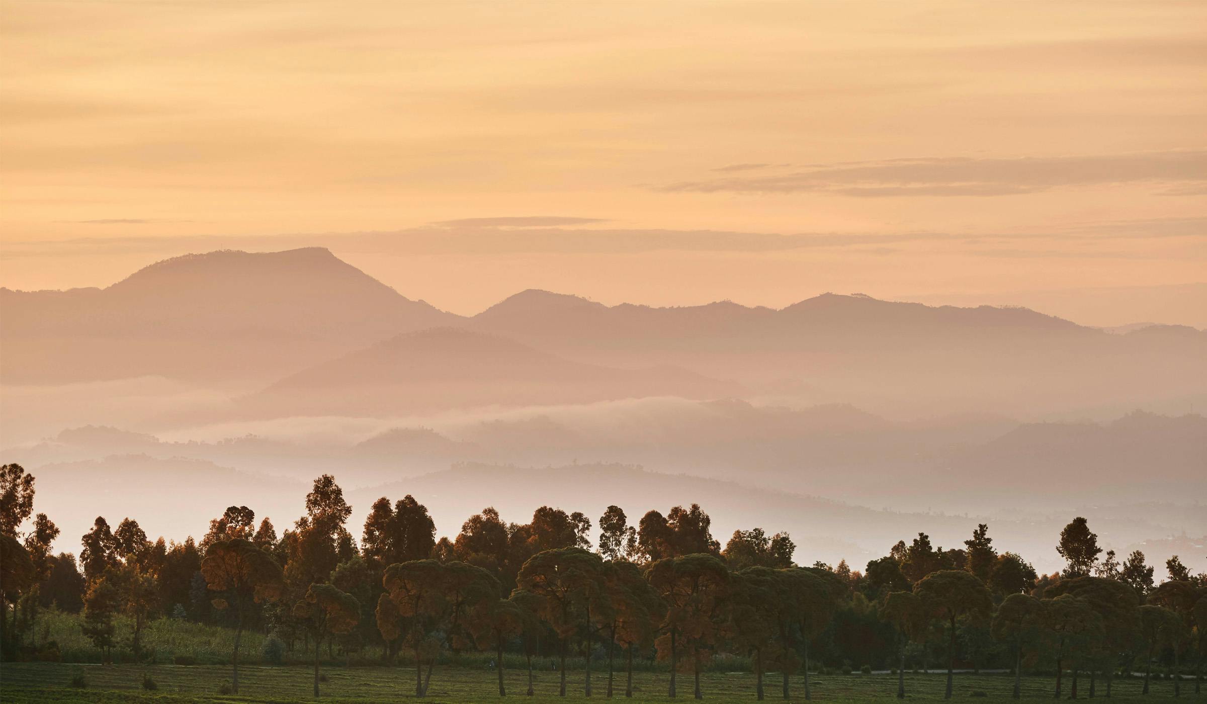 One&Only Gorilla's Nest Sunrise Mountains