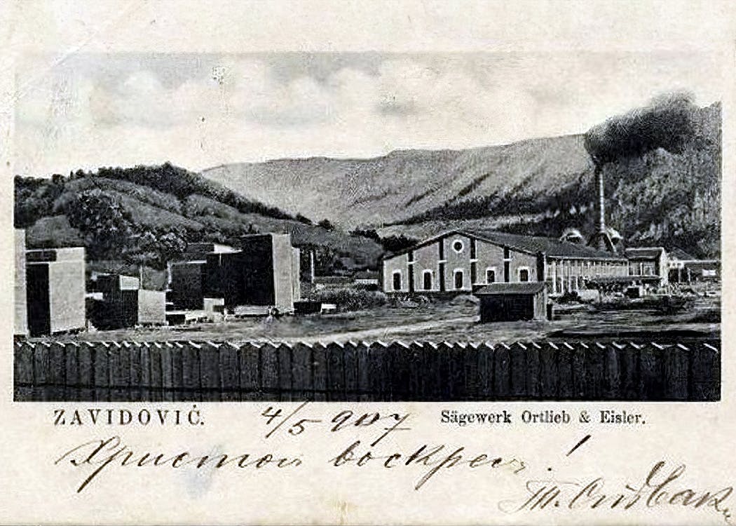 Krivaja 1884
