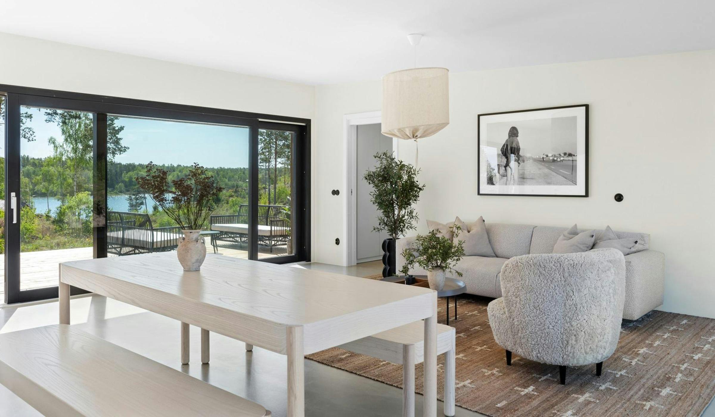 Simple scandinavian living room and dining room