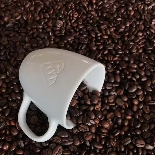 Fairtrade Kaffee – Was steckt dahinter?