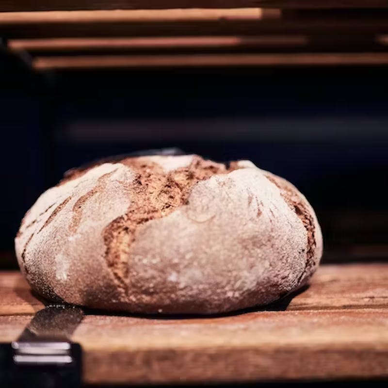 Die Geschichte des Brotes