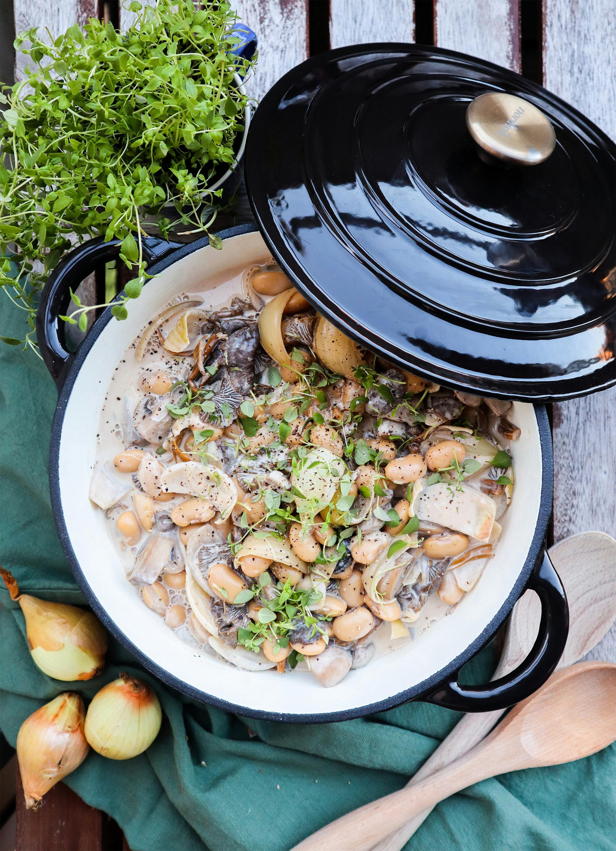 Gr ddig Svampgryta Med Vita B nor Recept KitchenTime gr-ddig-svampgryta-med-vita-b-nor-recept-kitchentime