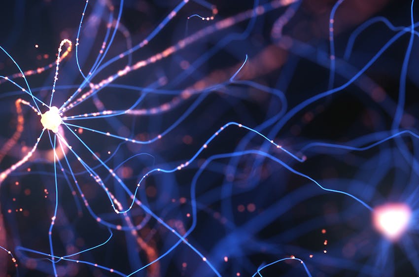 Brain synapses to represent psychology and human behavior