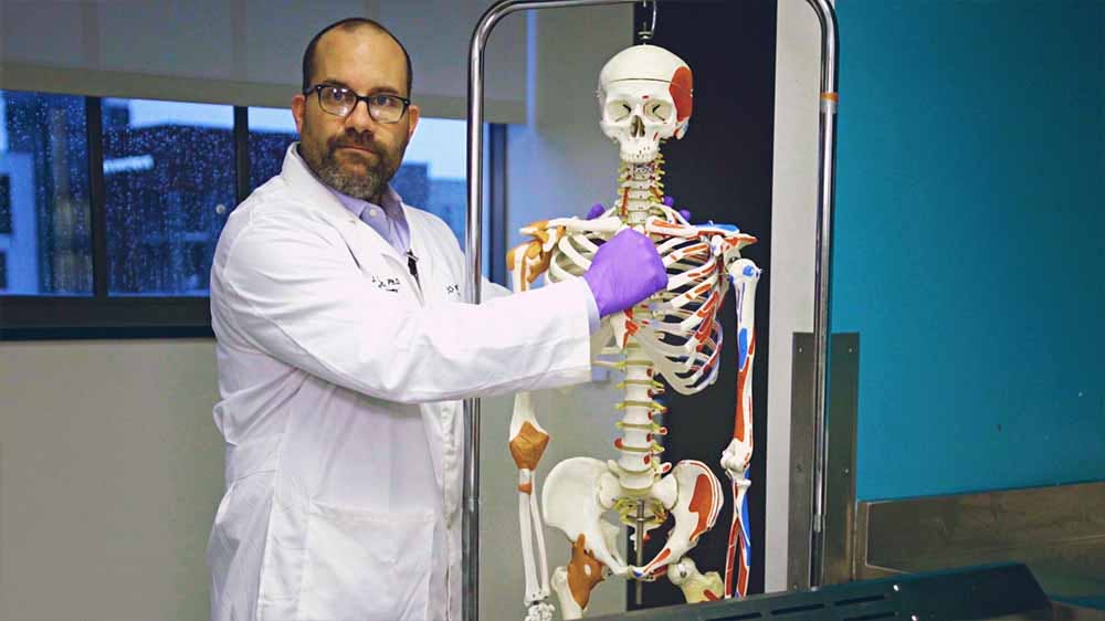 Doctor with an educational skeleton from Wake Forest's medicine course