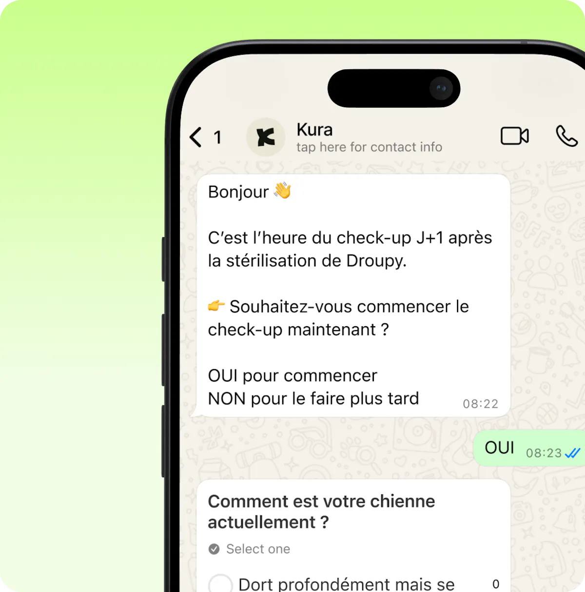 Message automatisé Kura Vet envoyant un check-up post opératoire J+1 après stérilisation d’un chien via WhatsApp