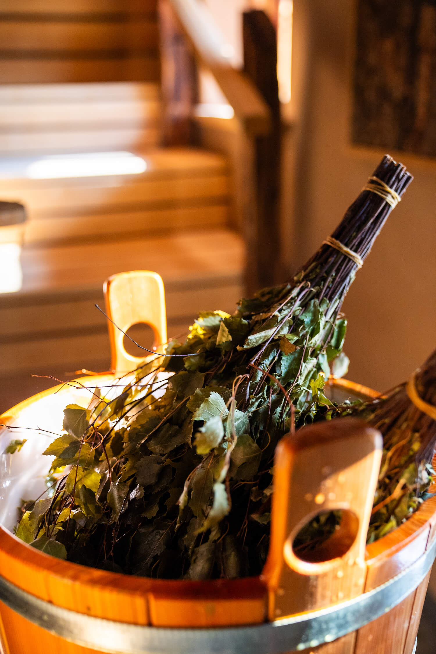 Eimer in dem Birkenreisig liegt