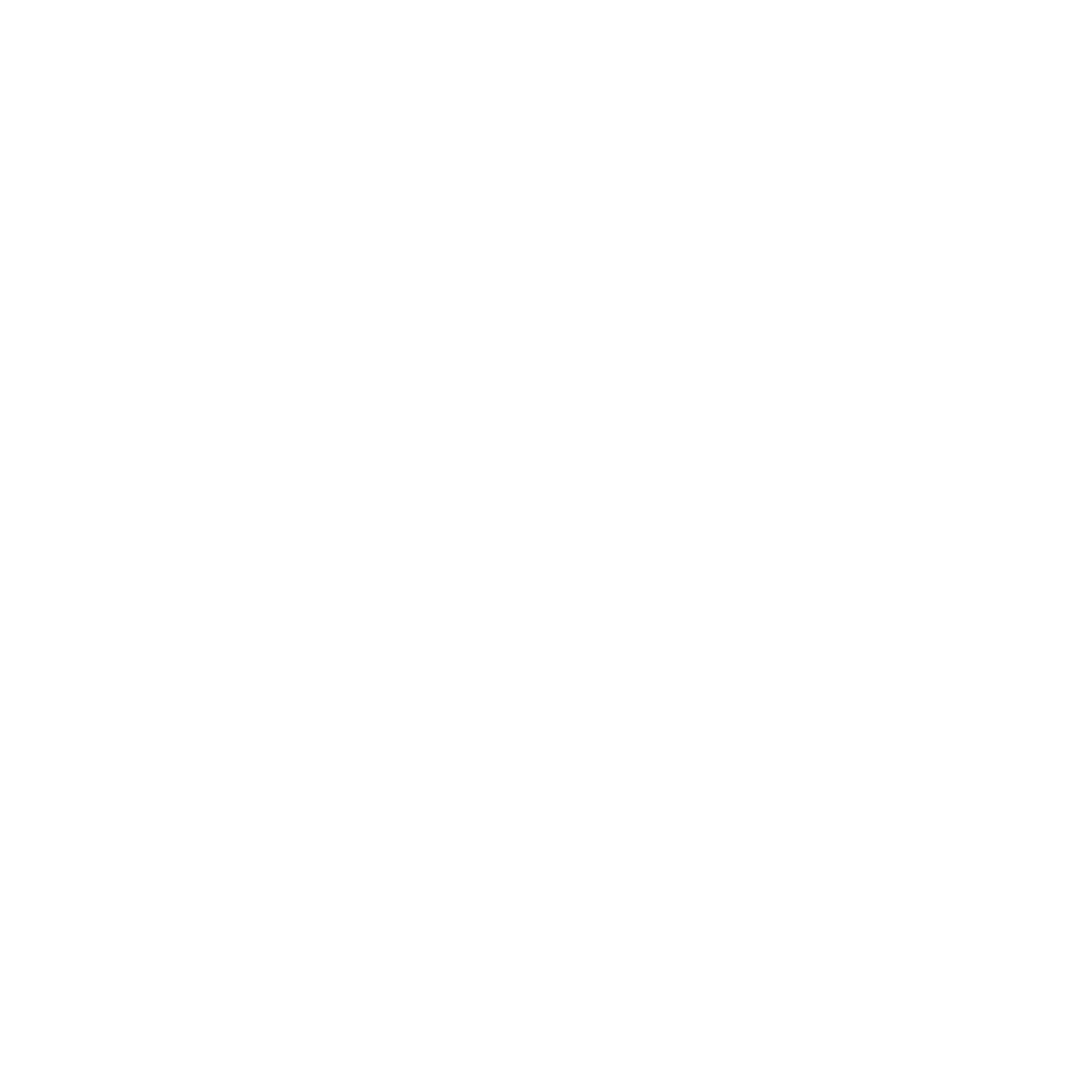 Social icon