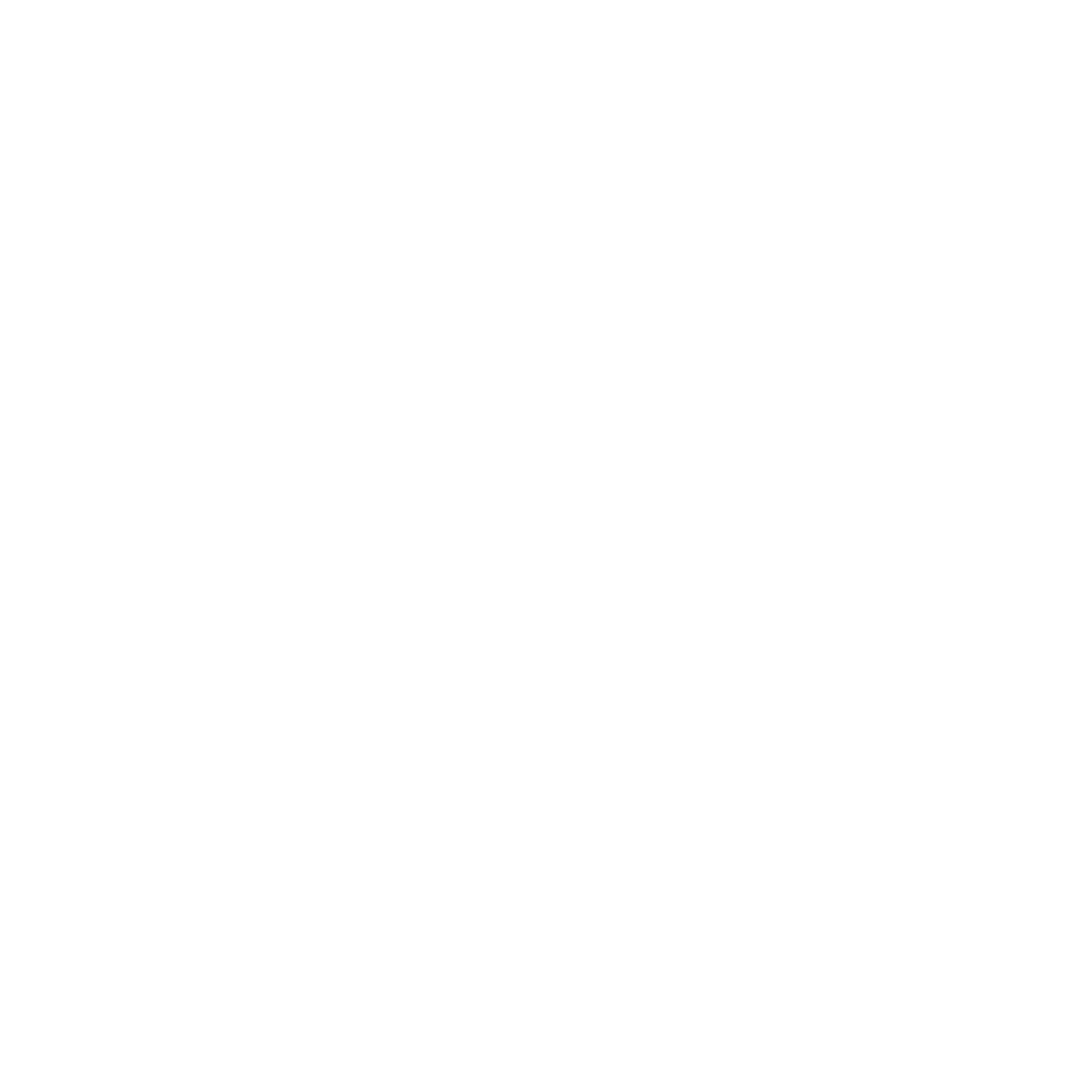 Social icon