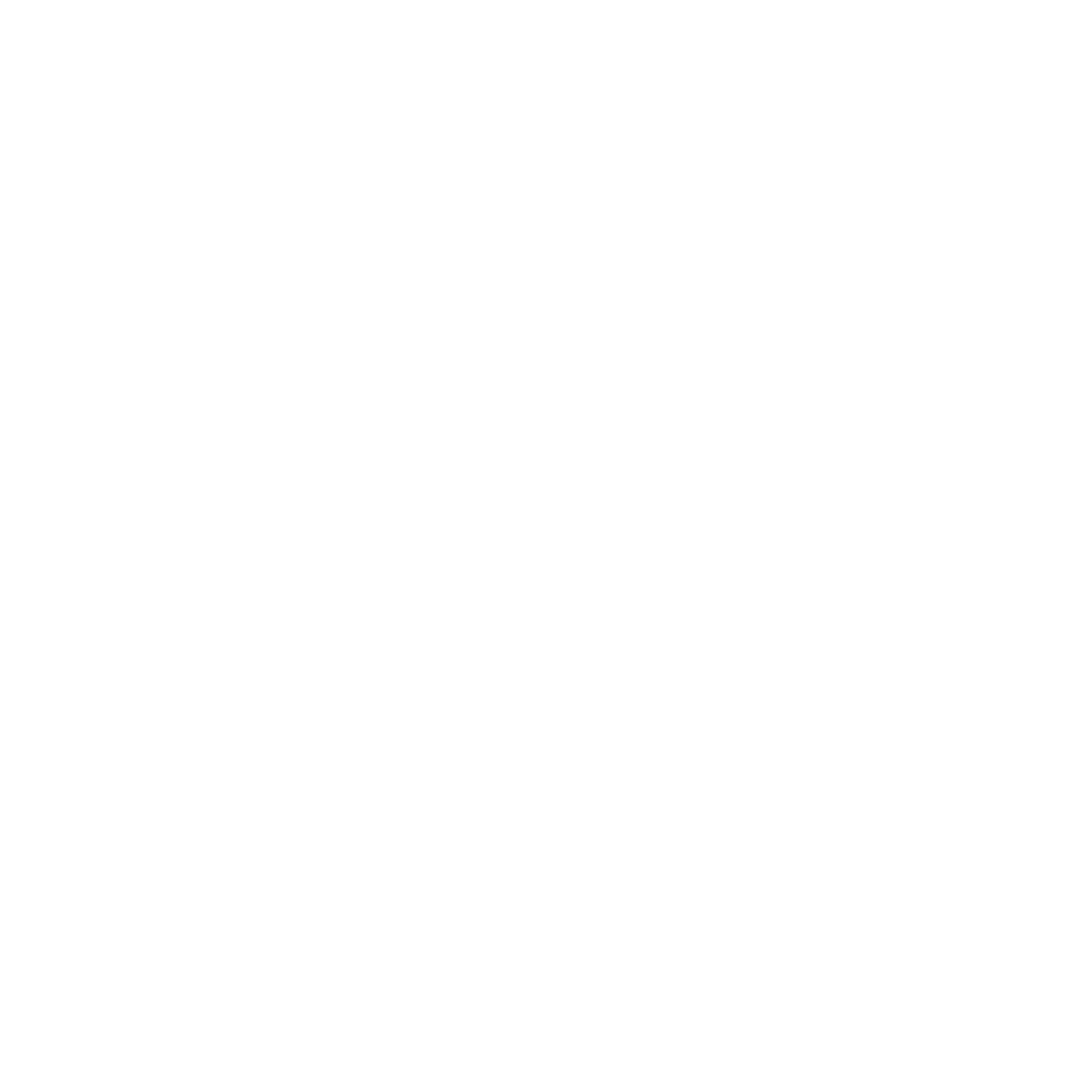 Social icon