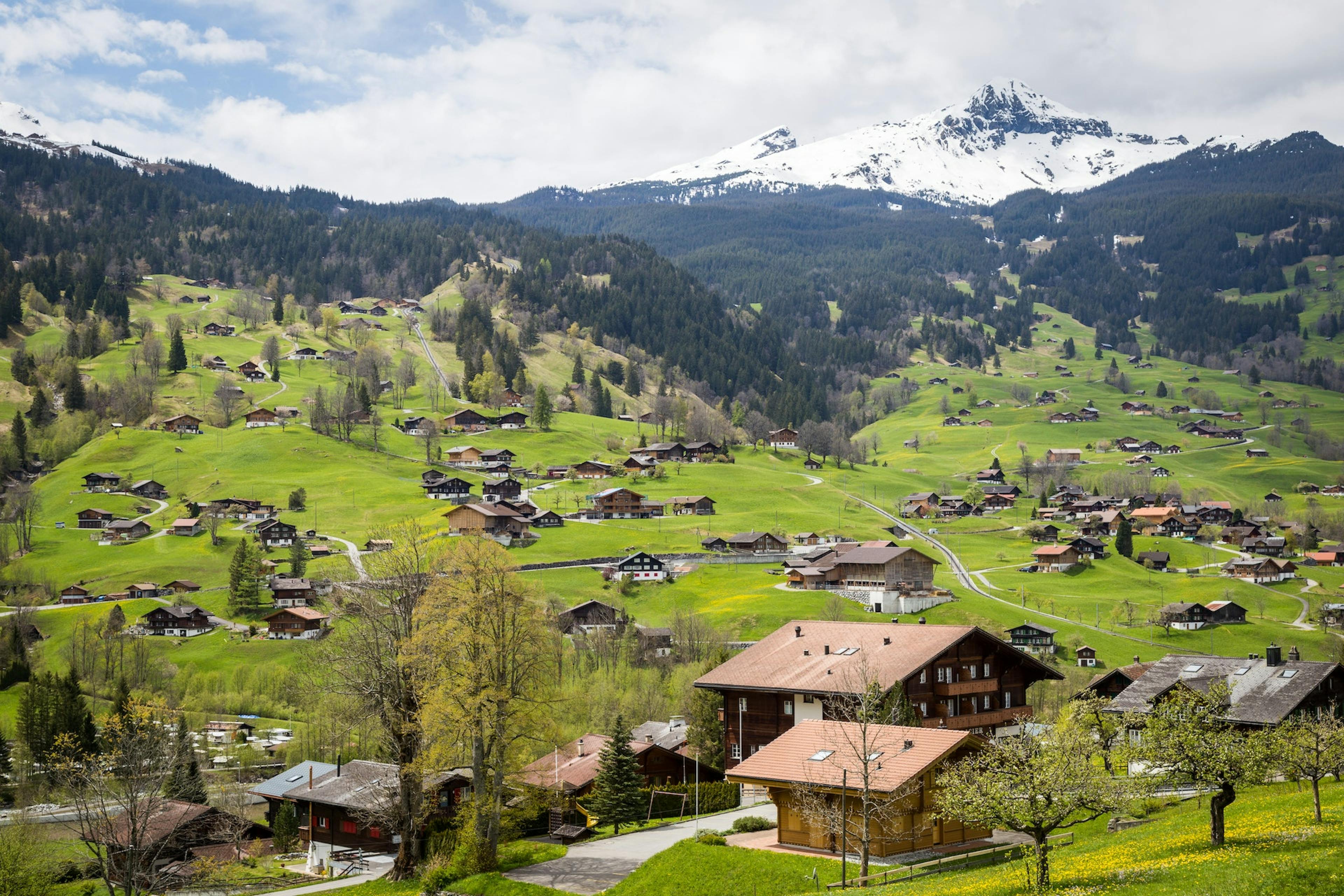 Schweizer Berglandschaft