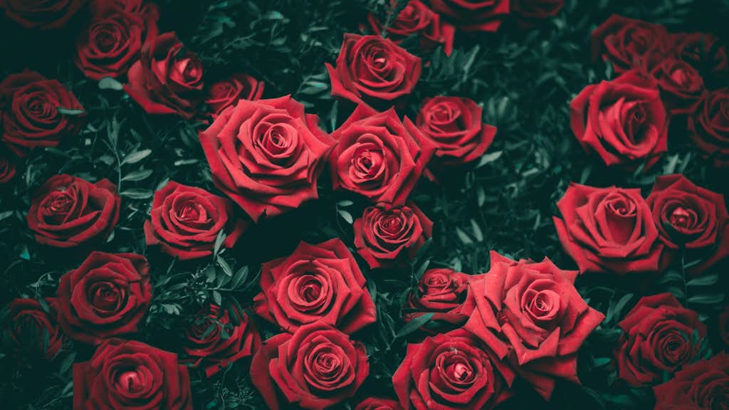 Rosen