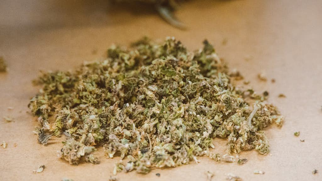 Cannabis, zerkleinert auf dem Tisch.