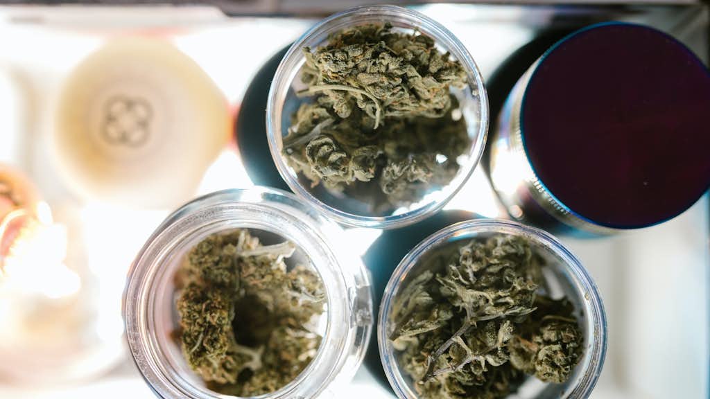 Cannabis Blüten in Glasbehältern